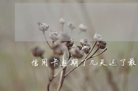 信用卡逾期了几天还了最低还款