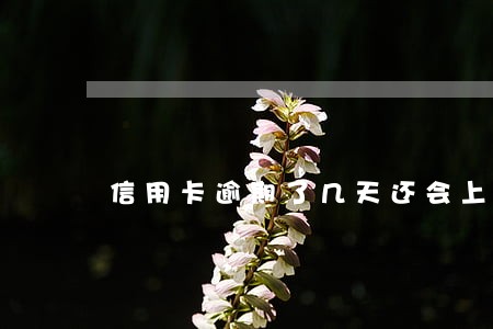 信用卡逾期了几天还会上征信吗 信用卡逾期了几天还会上征信吗