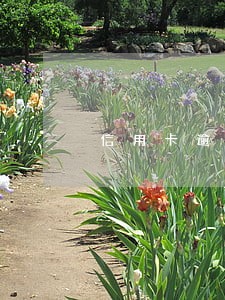 信用卡逾期了几天还款会怎么样 信用卡逾期了几天还款会怎么样