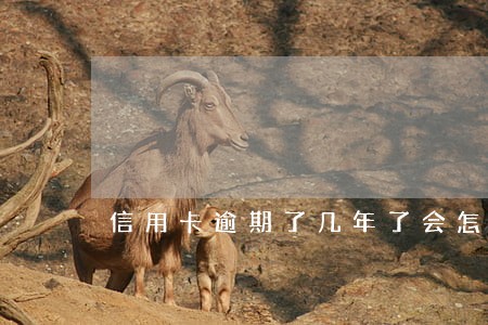 信用卡逾期了几年了会怎样 信用卡逾期了几年了会怎样