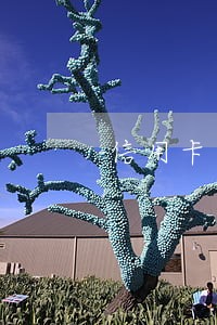 信用卡逾期了几年怎么处理