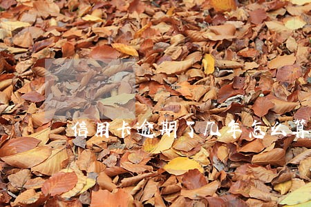 信用卡逾期了几年怎么算 信用卡逾期了几年怎么算
