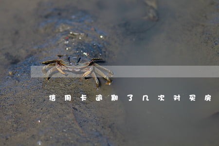 信用卡逾期了几次对买房有影响吗 信用卡逾期了几次对买房有影响吗
