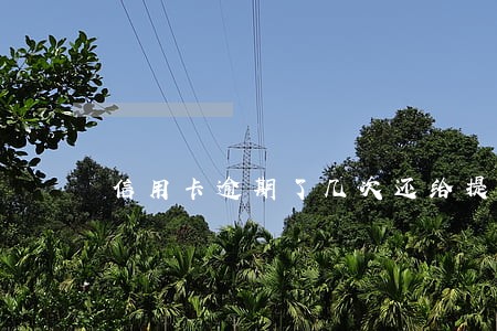 信用卡逾期了几次还给提额了