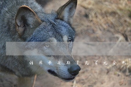 信用卡逾期了几百元会影响房贷吗 信用卡逾期了几百元会影响房贷吗