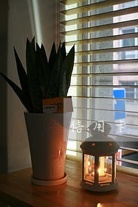 信用卡逾期了分了期又逾期 信用卡逾期了分了期又逾期