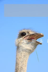 信用卡逾期了分期又没还上 信用卡逾期了分期又没还上