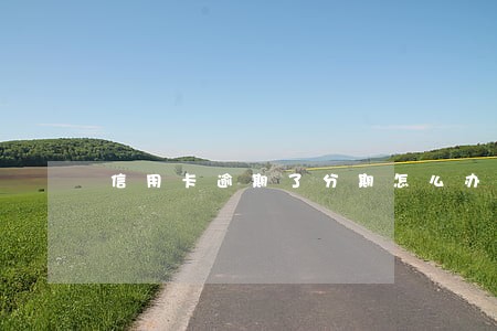信用卡逾期了分期怎么办啊