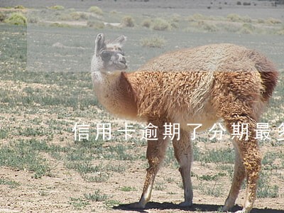 信用卡逾期了分期最多分多久 信用卡逾期了分期最多分多久