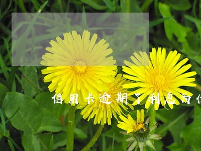 信用卡逾期了利息为什么这么高 信用卡逾期了利息为什么这么高