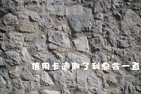 信用卡逾期了利息会一直长吗 信用卡逾期了利息会一直长吗