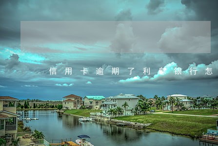 信用卡逾期了利息银行怎么收 信用卡逾期了利息银行怎么收