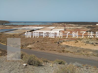 信用卡逾期了到了法庭怎么办 信用卡逾期了到了法庭怎么办