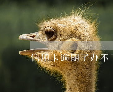 信用卡逾期了办不了信用卡 信用卡逾期了办不了信用卡