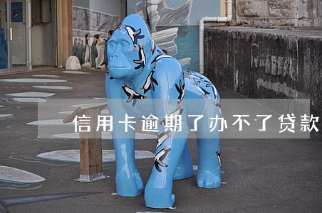 信用卡逾期了办不了贷款怎么办 信用卡逾期了办不了贷款怎么办