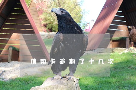 信用卡逾期了十几次 信用卡逾期了十几次