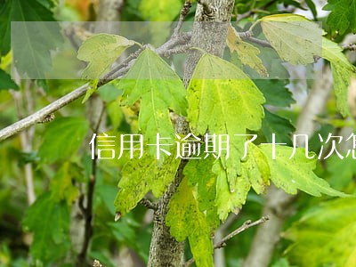 信用卡逾期了十几次怎么办 信用卡逾期了十几次怎么办