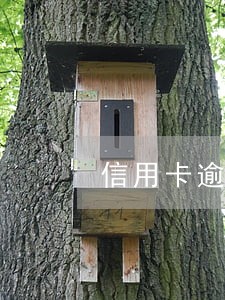信用卡逾期了十多天怎么办
