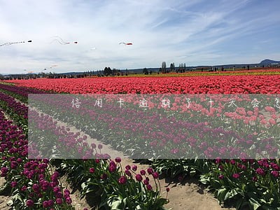 信用卡逾期了十天会怎么样 信用卡逾期了十天会怎么样