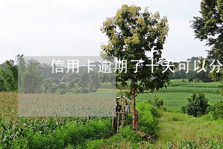 信用卡逾期了十天可以分期吗 信用卡逾期了十天可以分期吗
