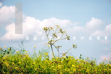 信用卡逾期了半个月有事没 信用卡逾期了半个月有事没
