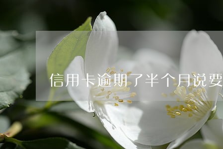 信用卡逾期了半个月说要停卡 信用卡逾期了半个月说要停卡