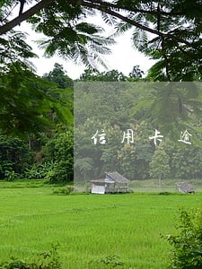 信用卡逾期了半个月还上了 信用卡逾期了半个月还上了