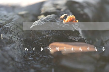 信用卡逾期了半天有关系吗 信用卡逾期了半天有关系吗