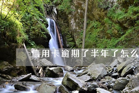 信用卡逾期了半年了怎么办