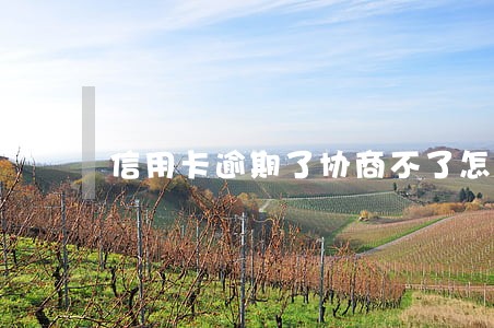 信用卡逾期了协商不了怎么办