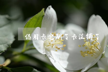 信用卡逾期了卡注销了 信用卡逾期了卡注销了
