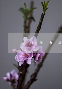 信用卡逾期了卡片 信用卡逾期了卡片
