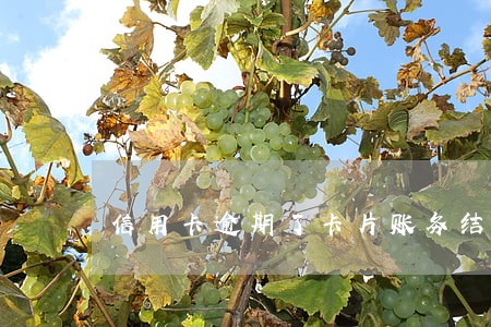 信用卡逾期了卡片账务结清证明 信用卡逾期了卡片账务结清证明