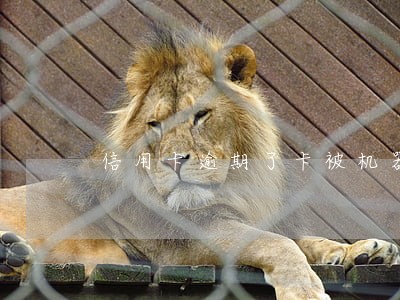 信用卡逾期了卡被机器吃了 信用卡逾期了卡被机器吃了
