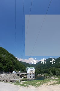 信用卡逾期了去提问求助