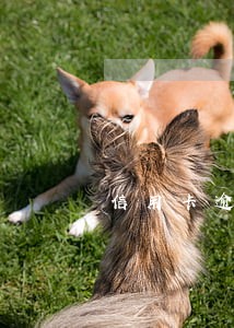 信用卡逾期了去柜台