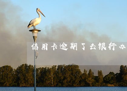 信用卡逾期了去银行办业务会怎样 信用卡逾期了去银行办业务会怎样