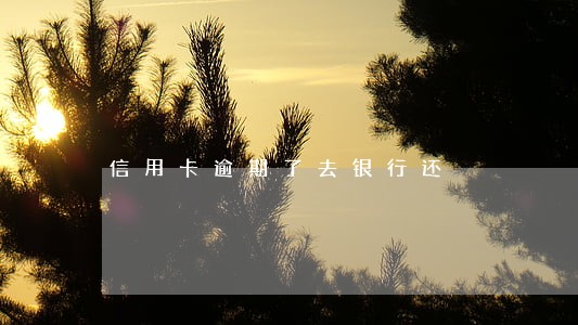 信用卡逾期了去银行还 信用卡逾期了去银行还