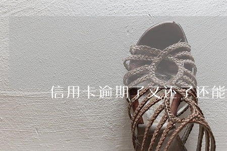 信用卡逾期了又还了还能用