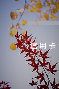 信用卡逾期了发来短信说备案 信用卡逾期了发来短信说备案