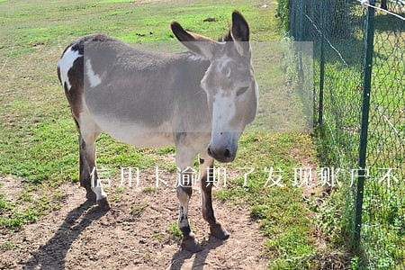信用卡逾期了发现账户不存在了