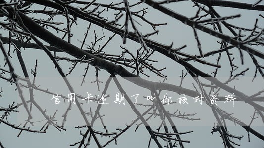 信用卡逾期了叫你核对资料 信用卡逾期了叫你核对资料