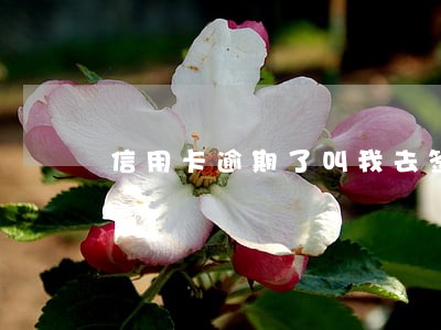 信用卡逾期了叫我去签什么影响 信用卡逾期了叫我去签什么影响