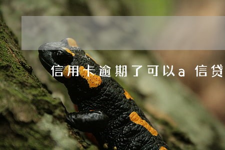 信用卡逾期了可以a信贷 信用卡逾期了可以a信贷