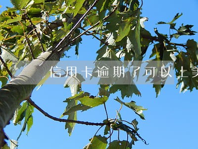 信用卡逾期了可以上美团吗 信用卡逾期了可以上美团吗