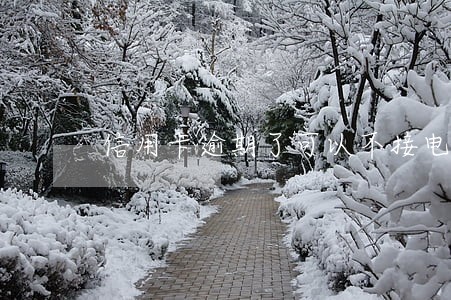 信用卡逾期了可以不接电话吗