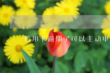 信用卡逾期了可以主动申请冻结