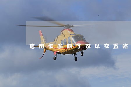 信用卡逾期了可以交五险一金 信用卡逾期了可以交五险一金