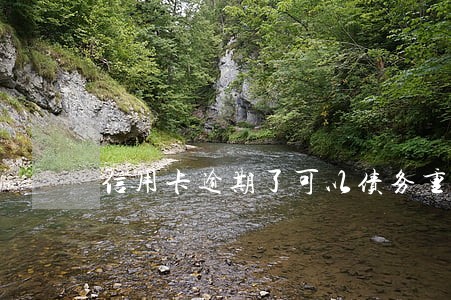 信用卡逾期了可以债务重组吗