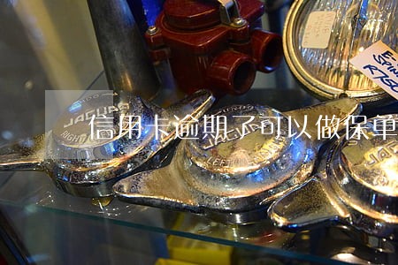 信用卡逾期了可以做保单贷吗